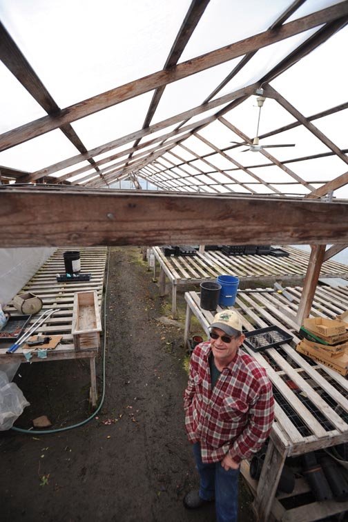 Brandon Swanson / bswanson@chronline.com.Mel Kortlever stands inside the first greenhouse made at his Shoestring Valley Nursery in Cinebar
