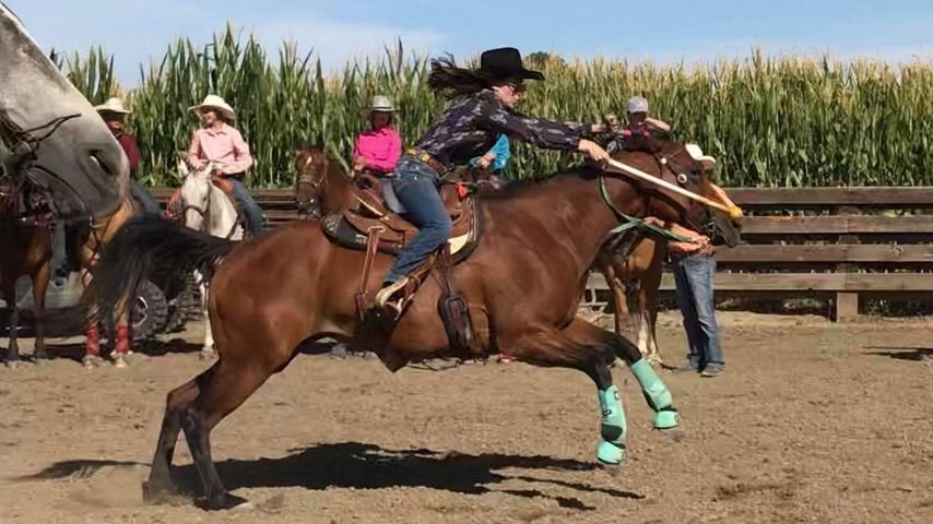 Carmen, 12, and her horse, Riata, go after their cow in “Steer Daubing” at a rodeo this past summer.