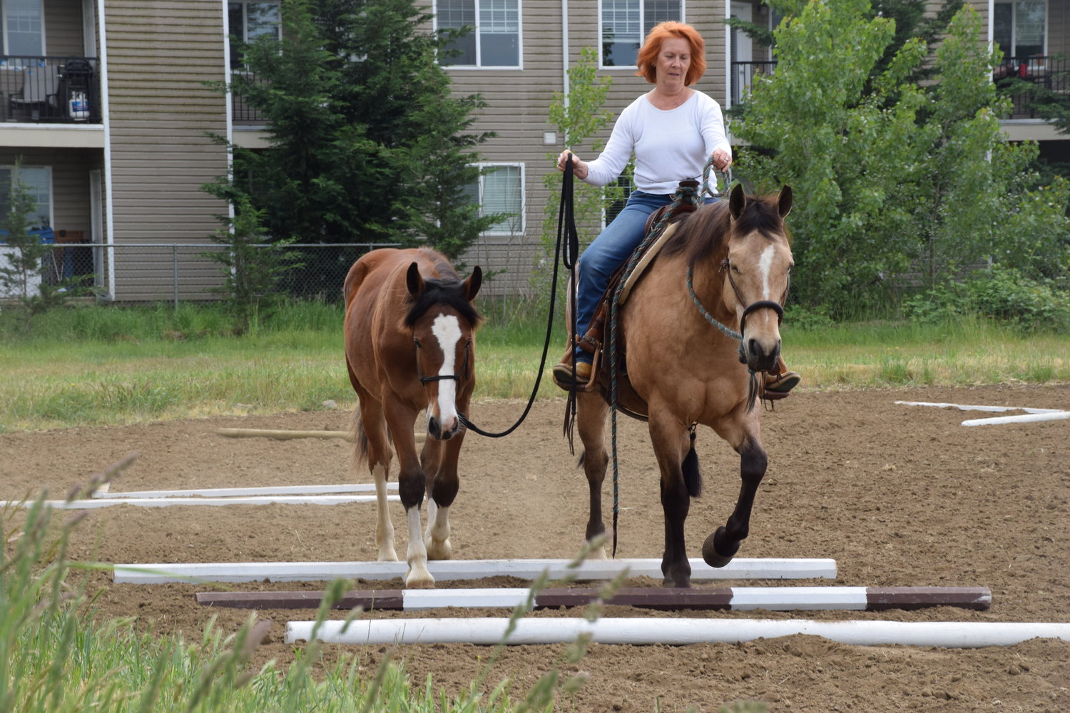 Jan Bennett, riding Chip, ponies her daughter’s colt, Boots, on part of a trail riding course at the Clark County Saddle Club May 22.