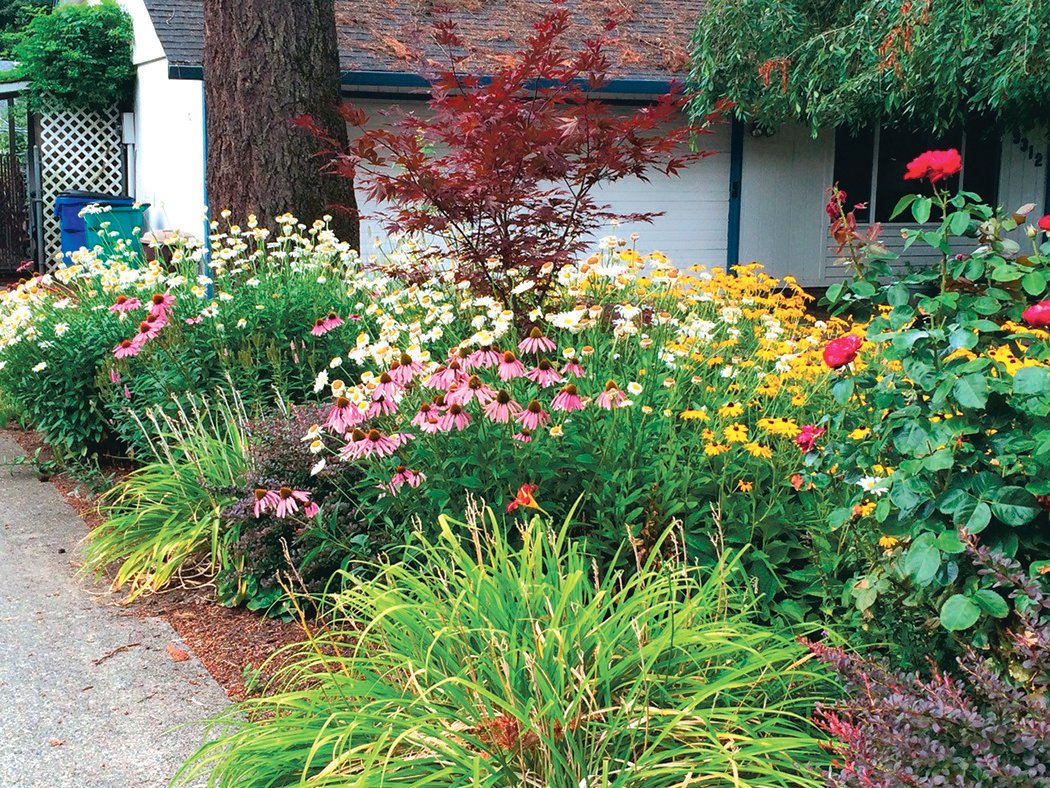 A meadowscape is pictured in this courtesy photo provided by the Washington State University Extension Clark County Master Gardener program.