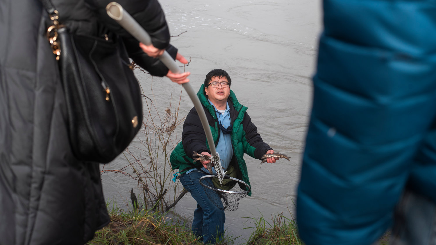 Danh Nguyen holds handfuls of smelt on the bank of the Cowlitz River Saturday morning in Castle Rock.