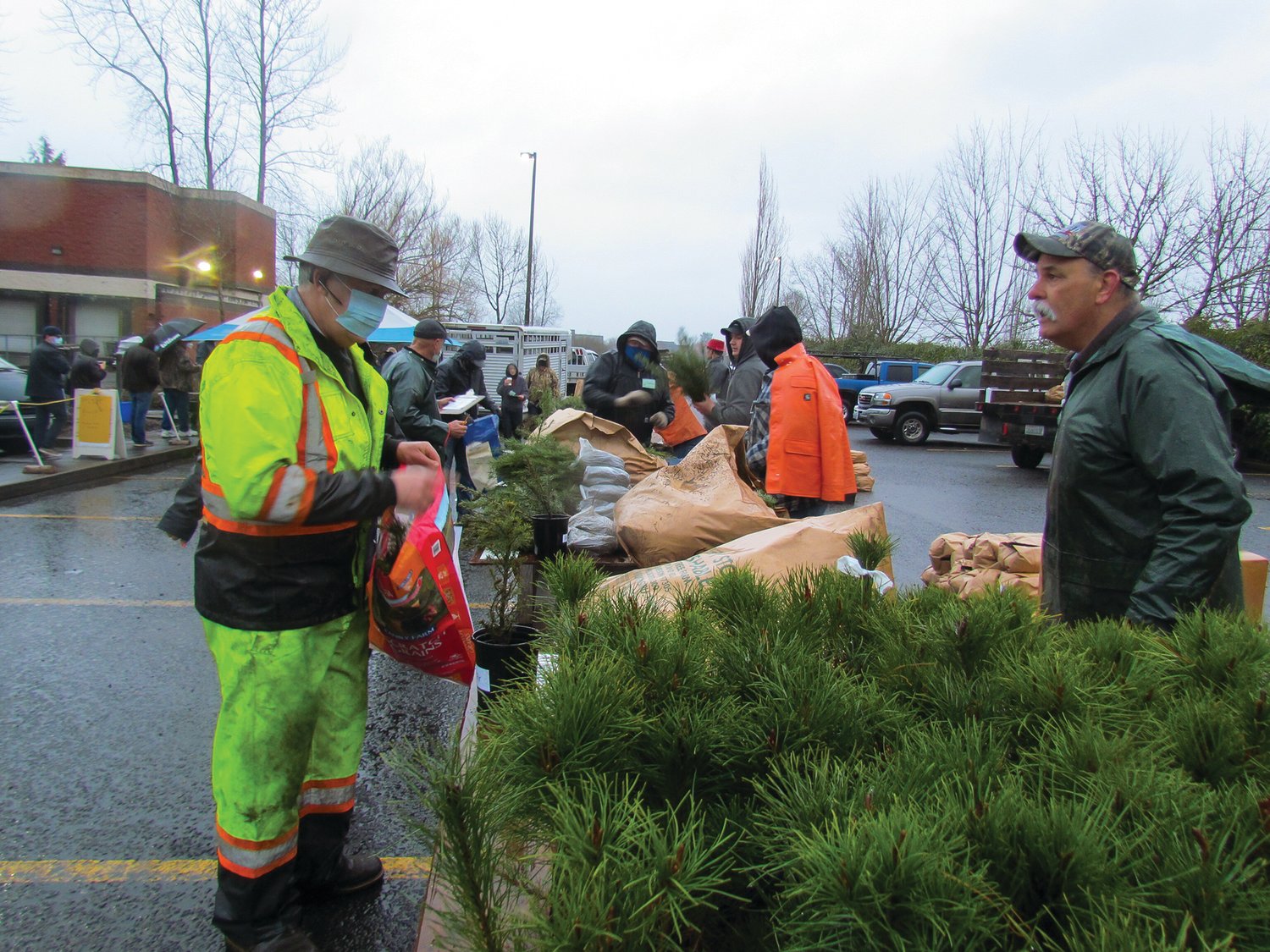 The popular tree seedling sale will take place again this year on Saturday, March 19 in the parking lot of Albertson’s in Battle Ground. Around 30 members of the Clark County Farm Forestry Association will be on hand to conduct the sale which benefits forestry projects.