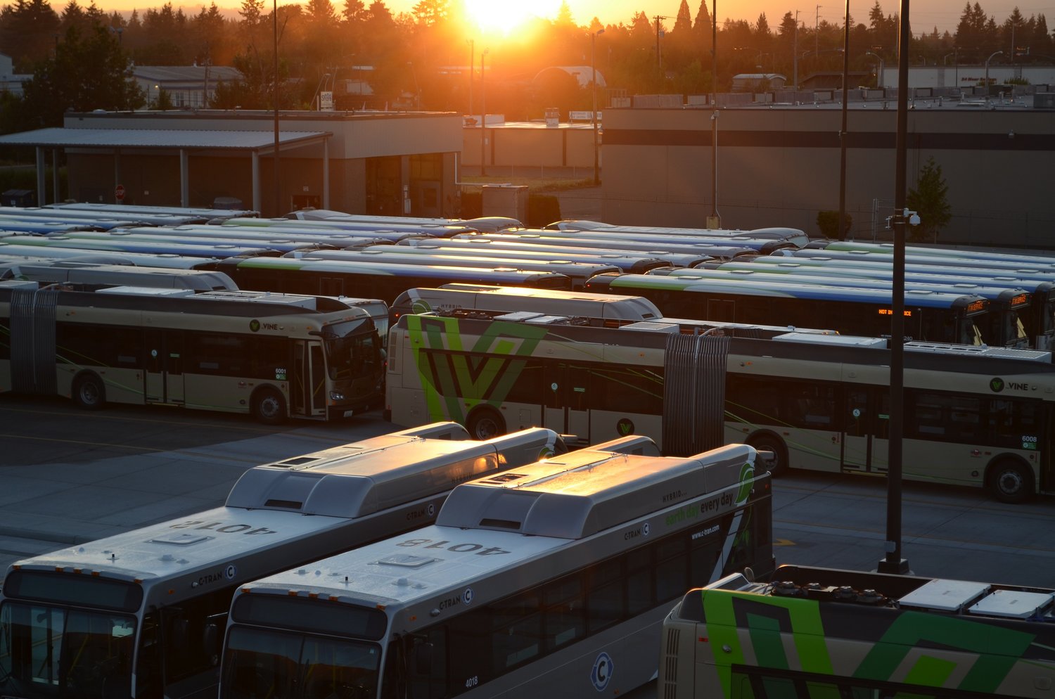 A fleet of C-TRAN buses, including the Vine and hybrid models, are pictured.