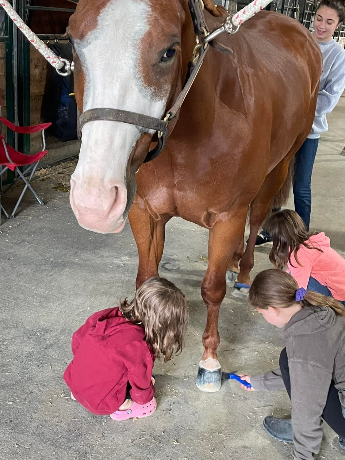 Young girls pick the hoofs of a horse at the Washington State Paint Horse Club show in July.