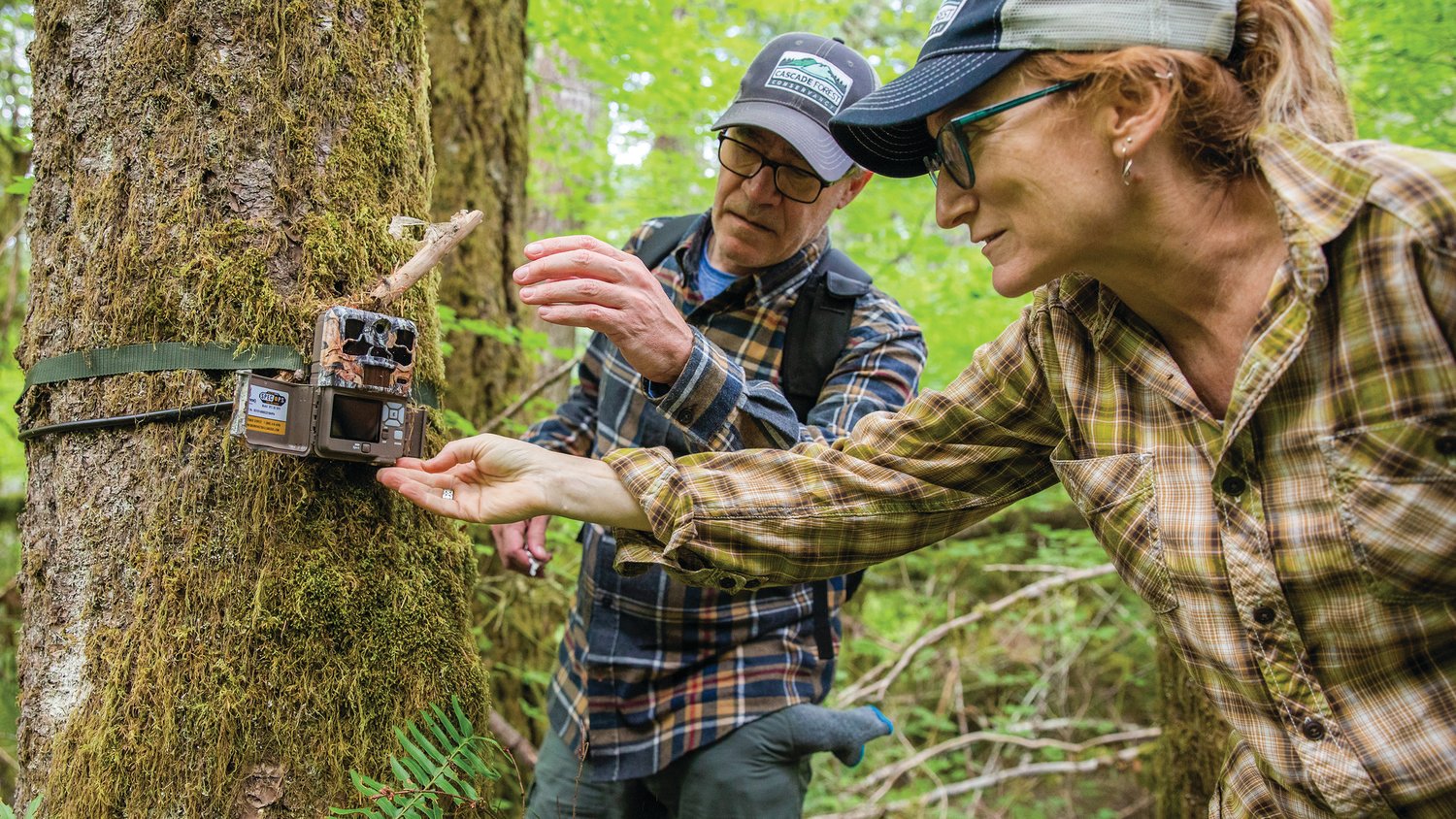 Jeff Green and Kim Freeman work to retrieve a memory card from a game camera in the Gifford Pinchot National Forest Saturday morning in Lewis County.