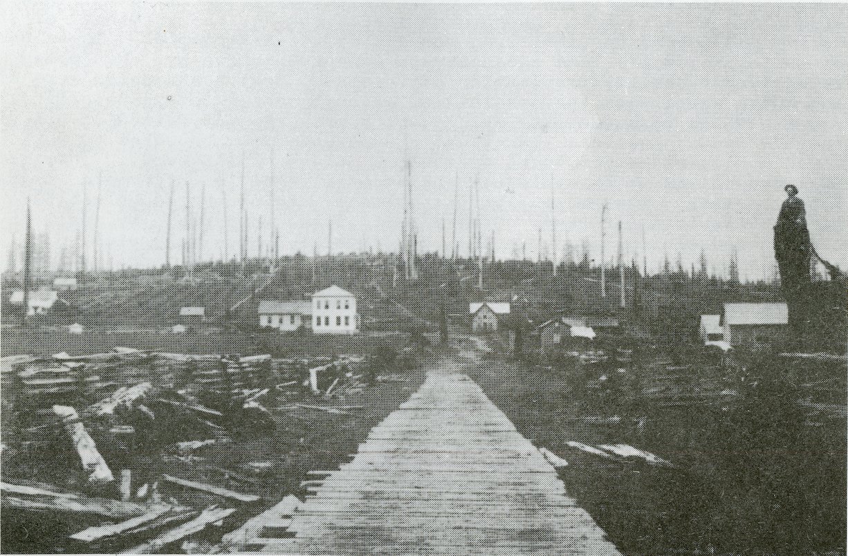 A plank road in Hockinson in 1895.