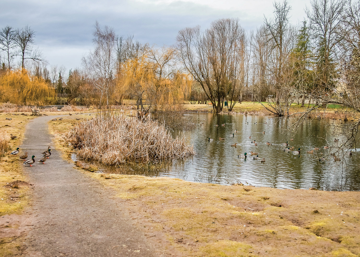 The duck ponds at Florence Park. The park includes numerous benches and trails as seen on Thursday, March 9.