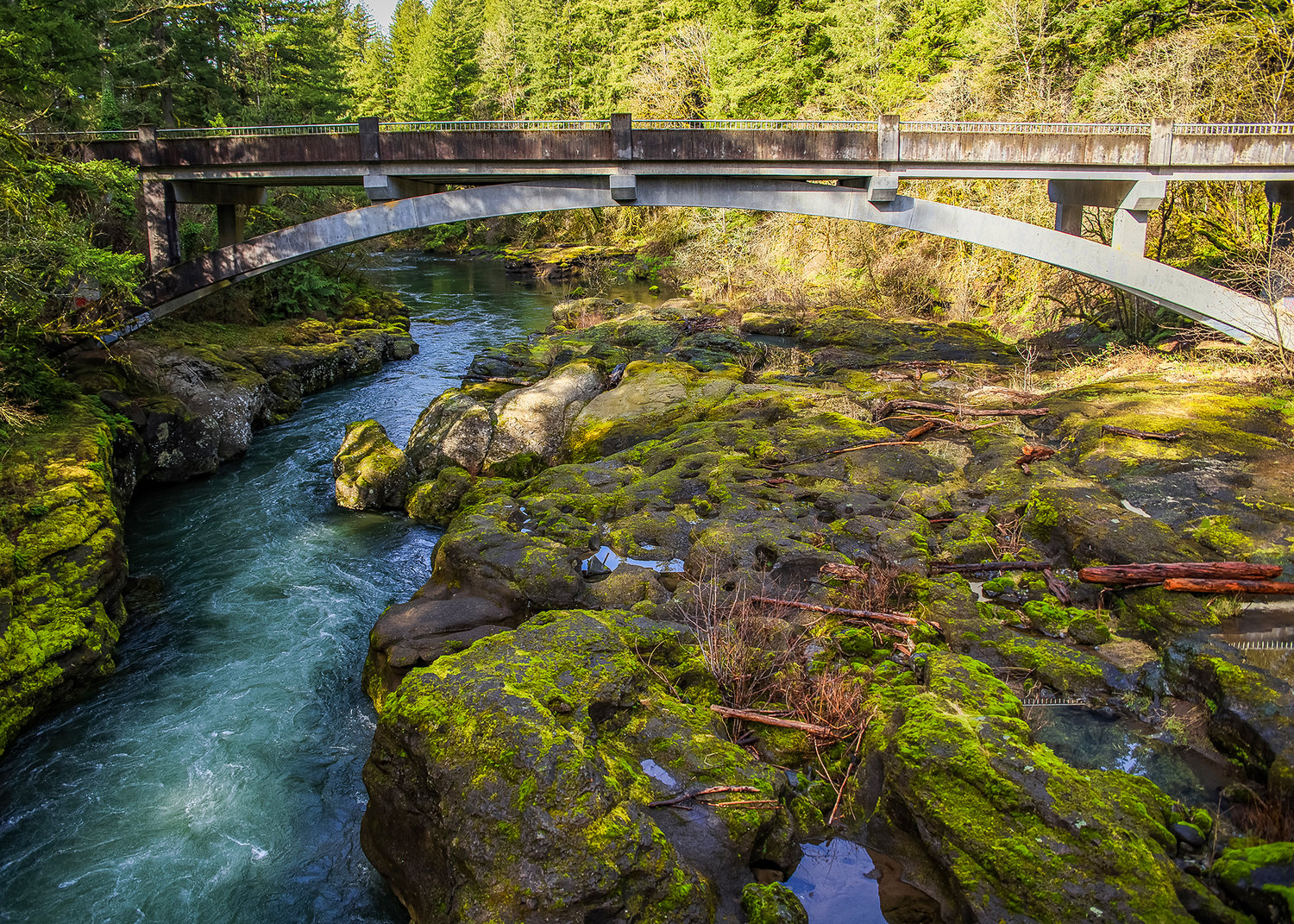 The East Frok Lewis River rages under the Heisson Bridge in North Clark County on Tuesday, March 14.