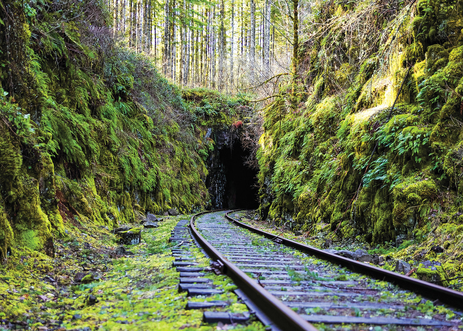 The railroad belonging to the Chelatchie Prairie Railroad enters a 300-foot long tunnel that was built from 1901 to 1903 near Moulton Falls Park in North Clark County on Tuesday, March 14.