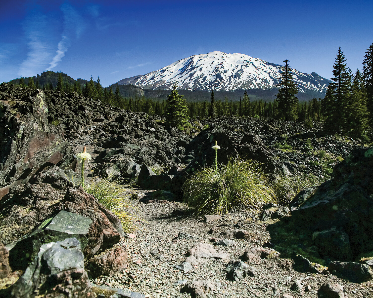 Only about an hour from The Reflector’s office, the south-facing side of Mount St. Helens is 
pictured from the Butte Camp Trailhead on a sunny afternoon.